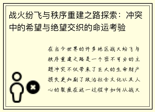 战火纷飞与秩序重建之路探索：冲突中的希望与绝望交织的命运考验
